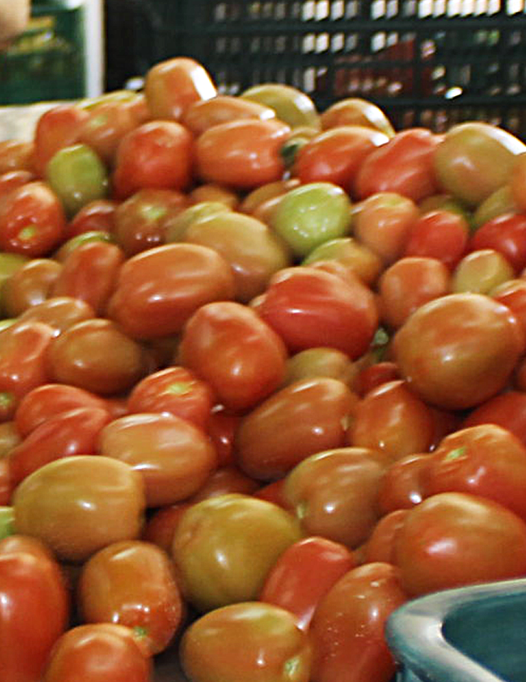 tomates
